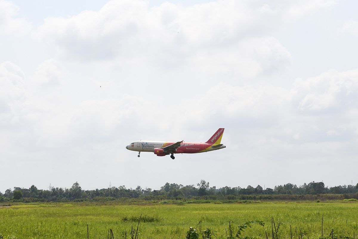カントー空港と脚の太いニワトリgà đông tảo(ドンタオ鶏)の親とひな鳥
