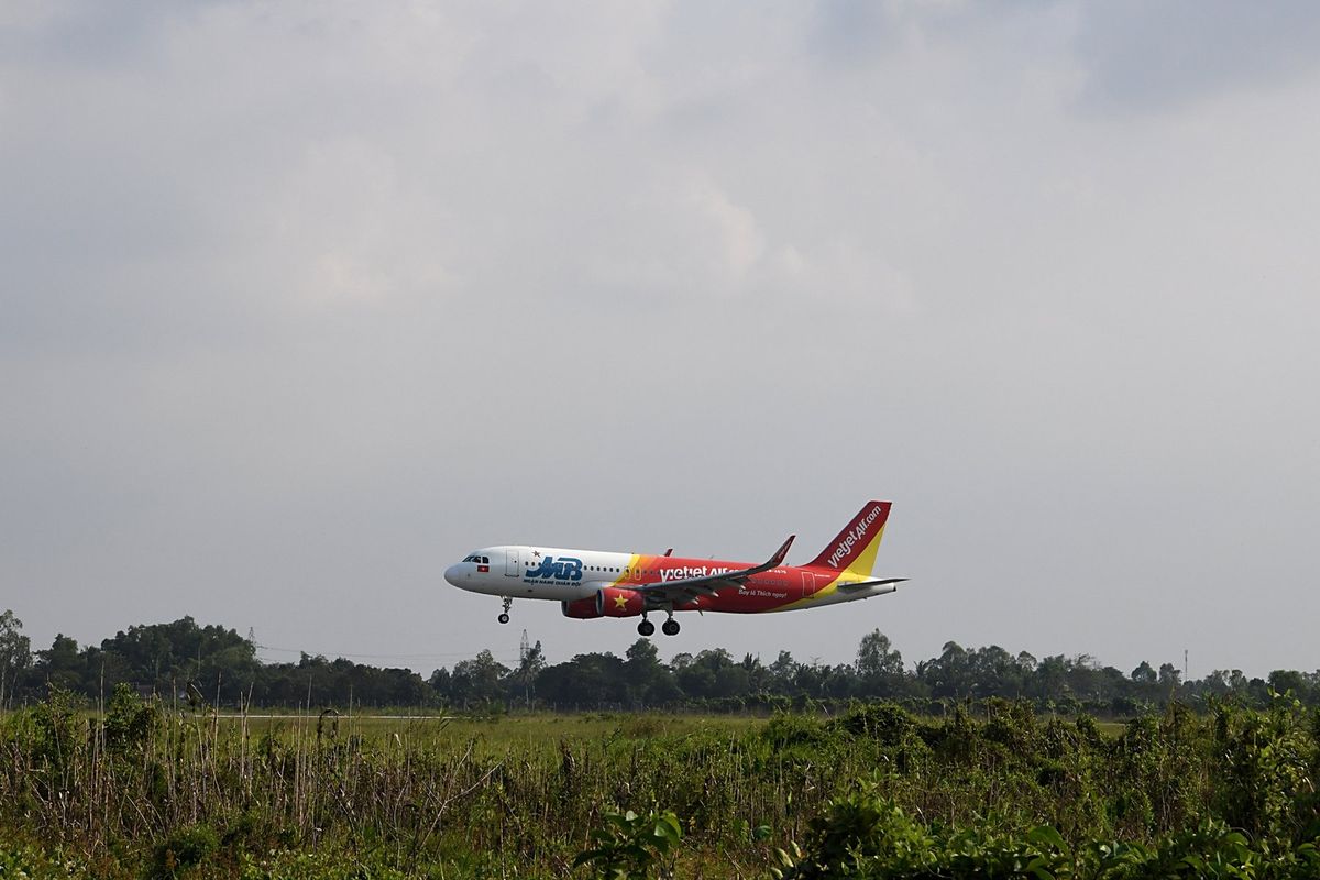 カントー空港と脚の太いニワトリgà đông tảo(ドンタオ鶏)の親とひな鳥