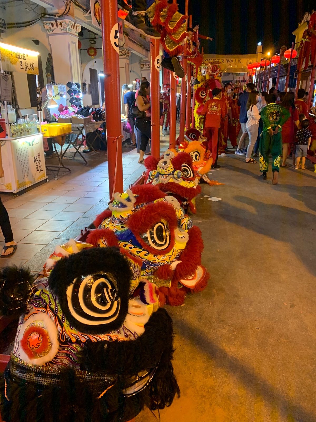 ライオンダンスのライオンさん勢揃い🦁