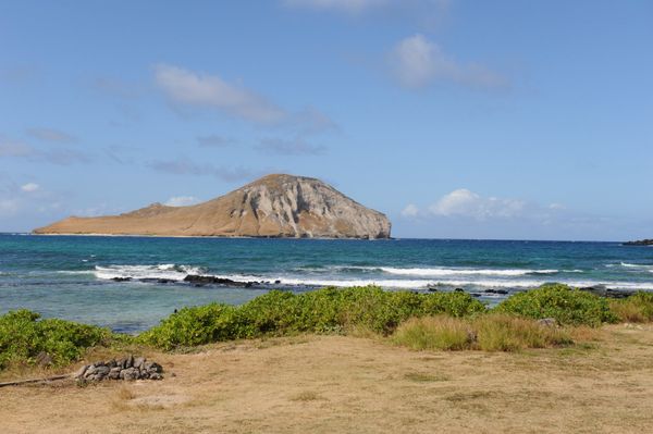アメリカ(米国)「アメリカ（ハワイ）」の写真