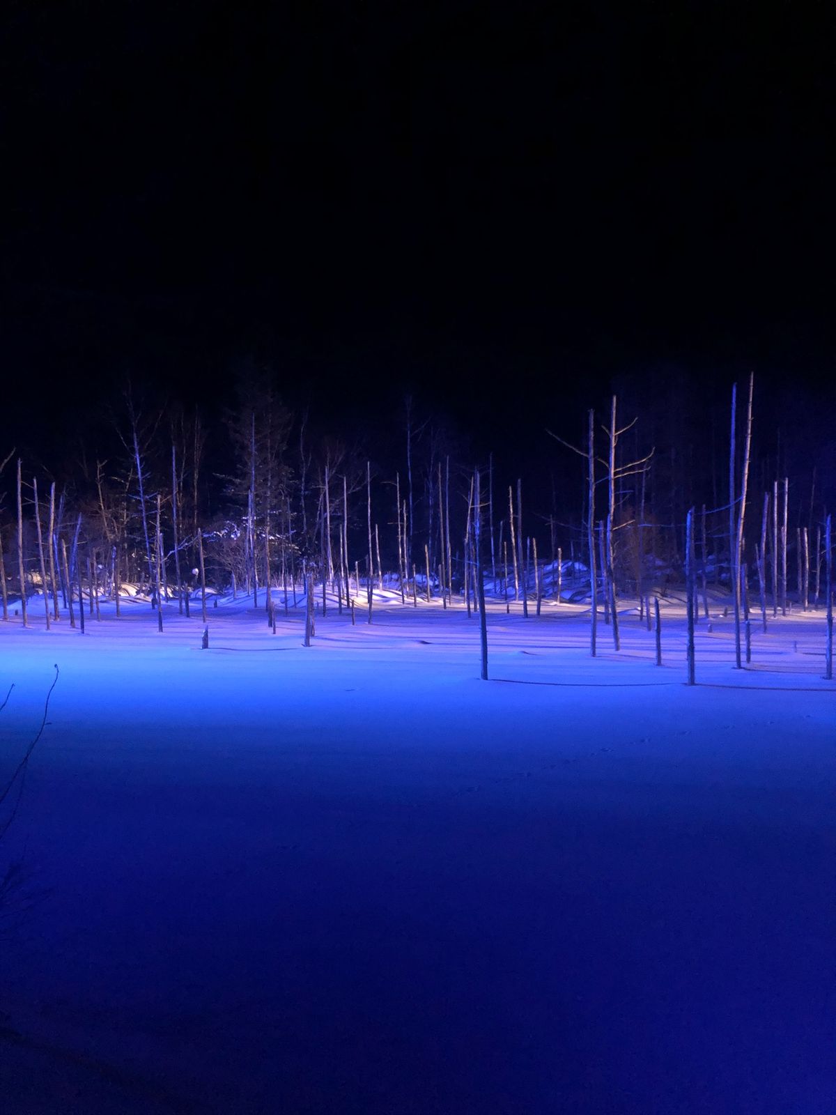 💁‍♀️白金青い池
青い池のはずが白い雪、、笑