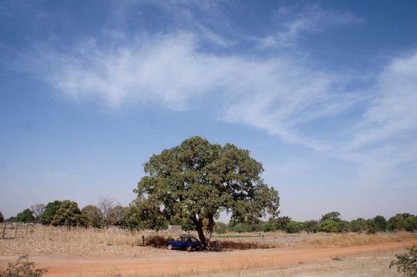 ベトナム「ブルキナファソ、フランス(トランジット)、ベトナム(トランジット)」の写真：ブルキナファソ。
食べ物もなかなか美味し...