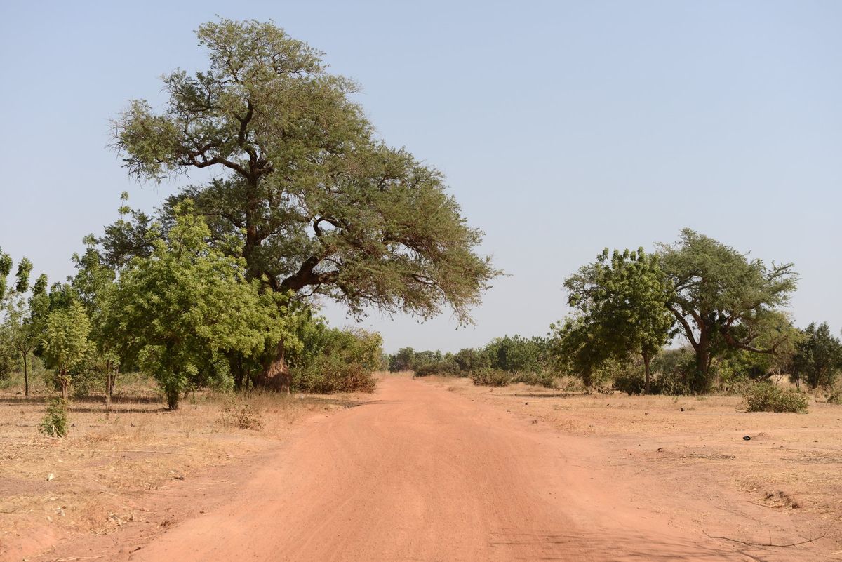 郊外のライブイベントでジャンベを堪能。
大衆居酒屋でブルキナビール。