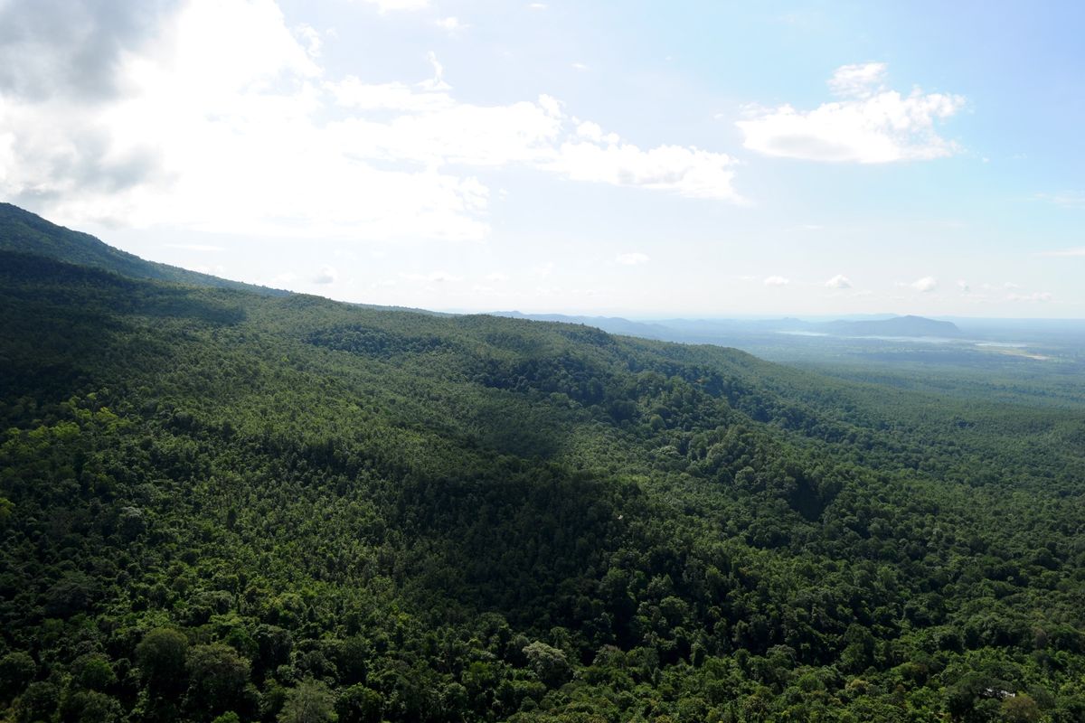 タウン・カラット