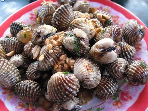 艀
レンガ工場
ハイガイ(sò huyết)炒め
モツフーティウの麺抜き、...