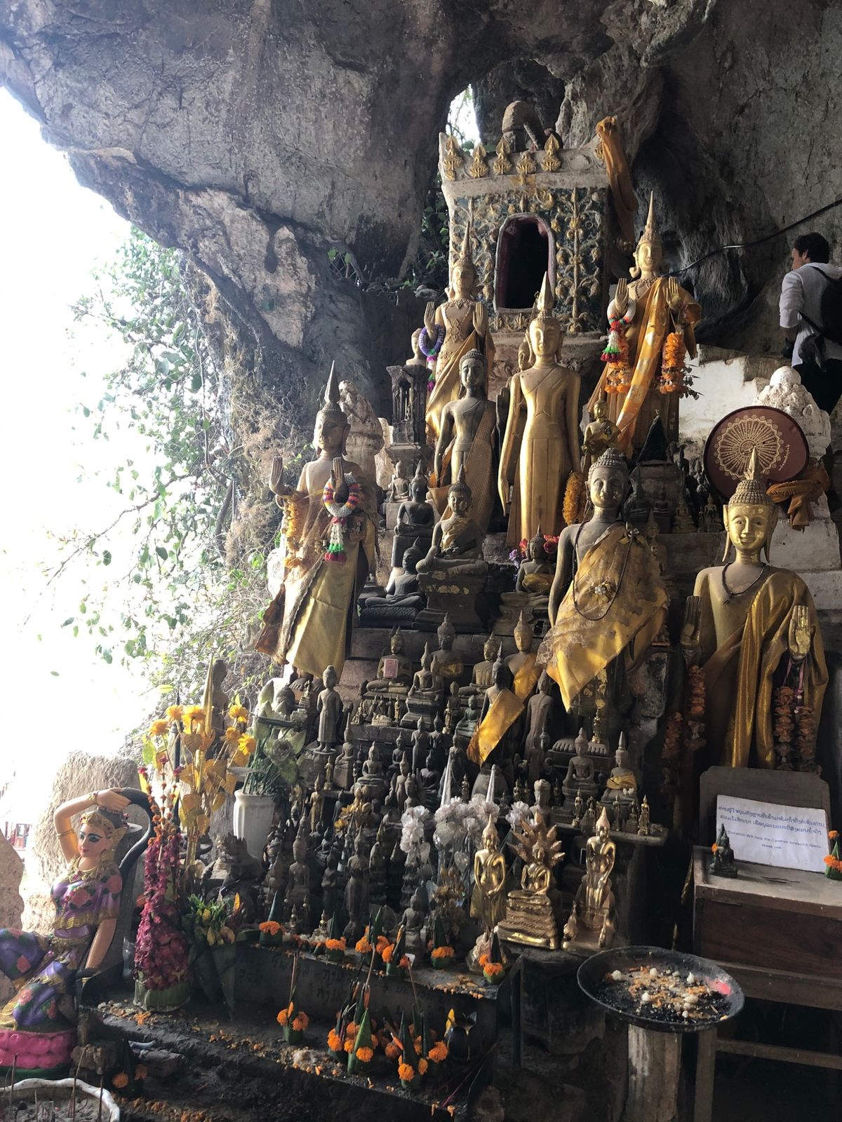 象使いの免許を取りにエレファントキャンプへ。クアンシーの滝、洞窟の観光も。...