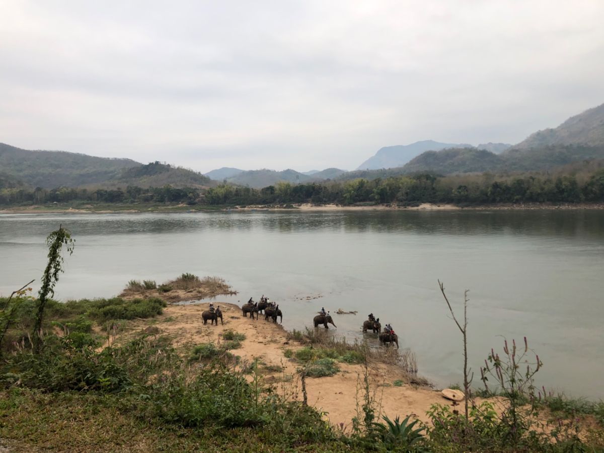 象使いの免許を取りにエレファントキャンプへ。クアンシーの滝、洞窟の観光も。...