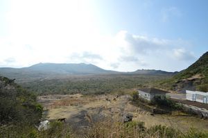 伊豆大島②