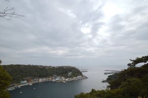伊豆大島②