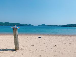 奄美旅行二日目は、古仁屋港からフェリーに乗って加計呂麻島へ。

街らしい街...