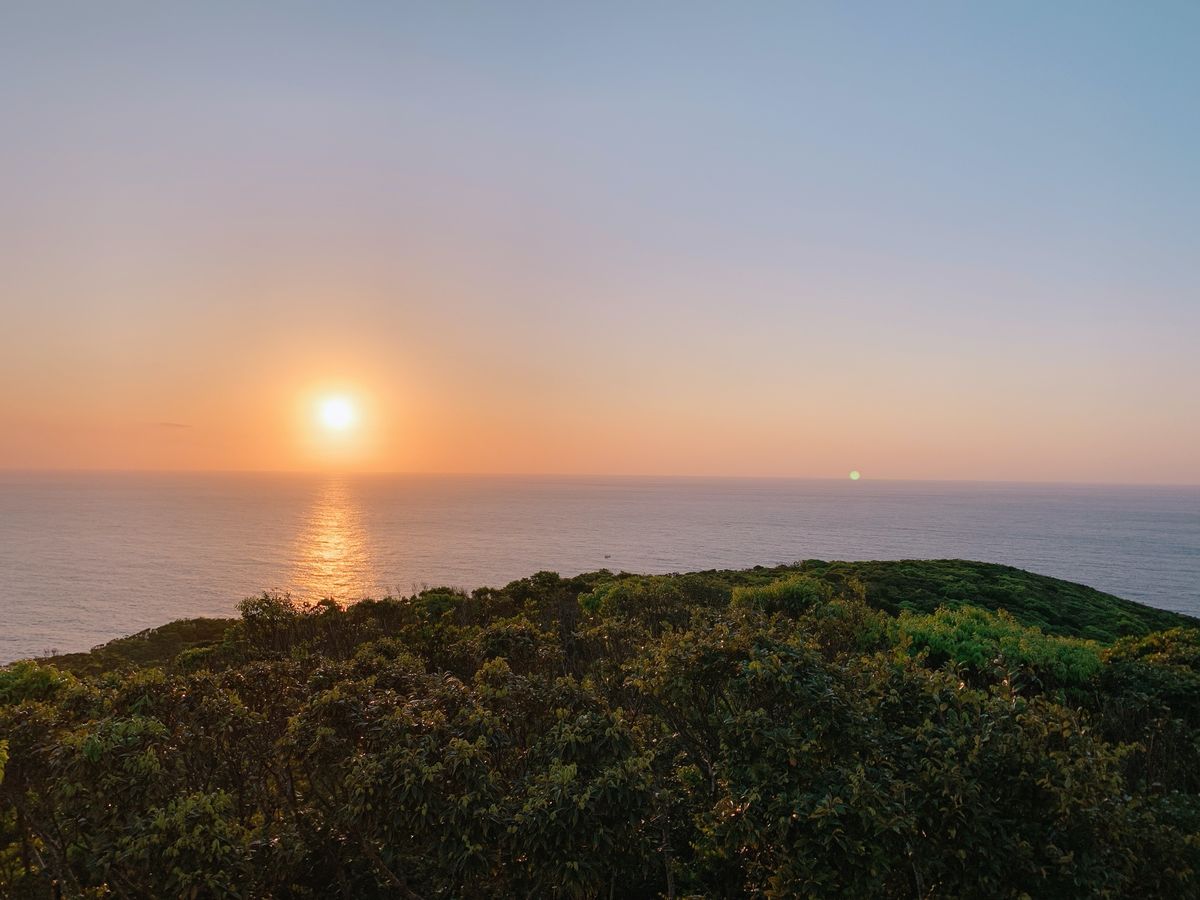 午後のフライトで奄美空港に到着し、そのまま車を借りて島の東部をぐるりとドラ...