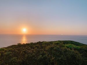 午後のフライトで奄美空港に到着し、そのまま車を借りて島の東部をぐるりとドラ...