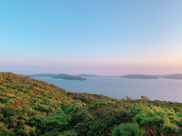日本・奄美大島「奄美大島」の写真：午後のフライトで奄美空港に到着し、そのま...