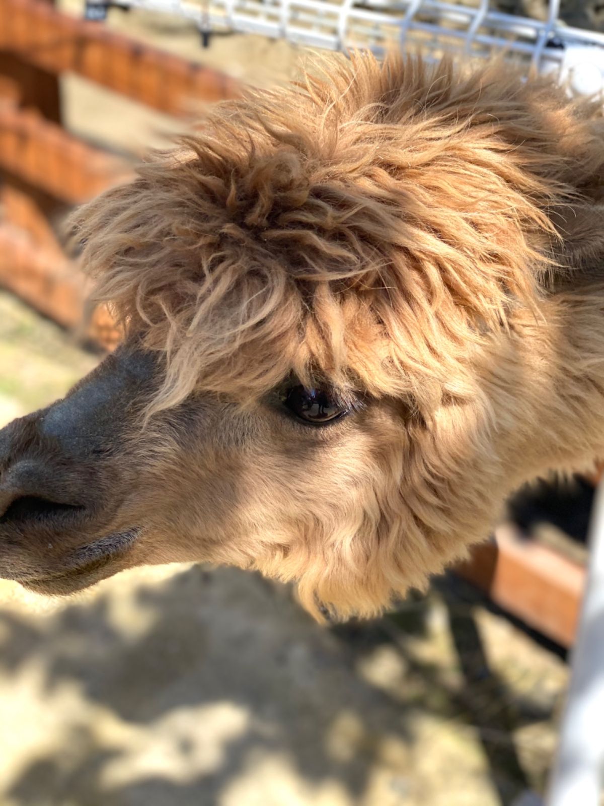 表情がいちいち可愛いすぎませんかー😍