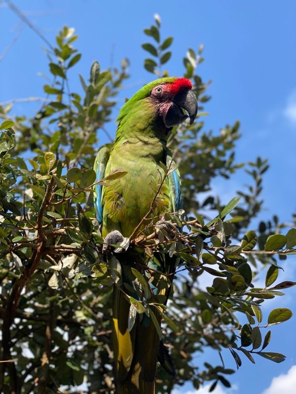 日本・長崎県「大好きなバイオパークへ🐒」の写真：こんなに近くで見られて可愛い😍

器用に...