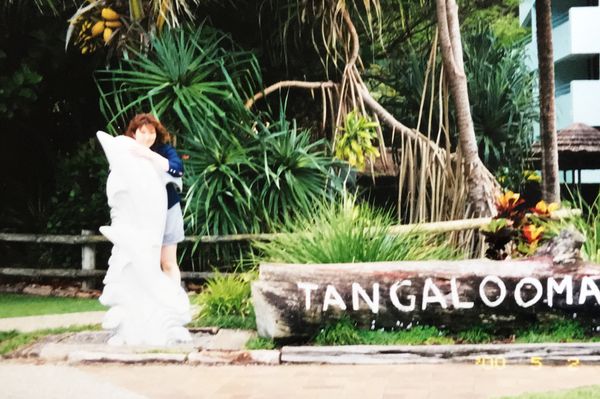 オーストラリア連邦「ウォンバットに一目惚れ」の写真：モートン島