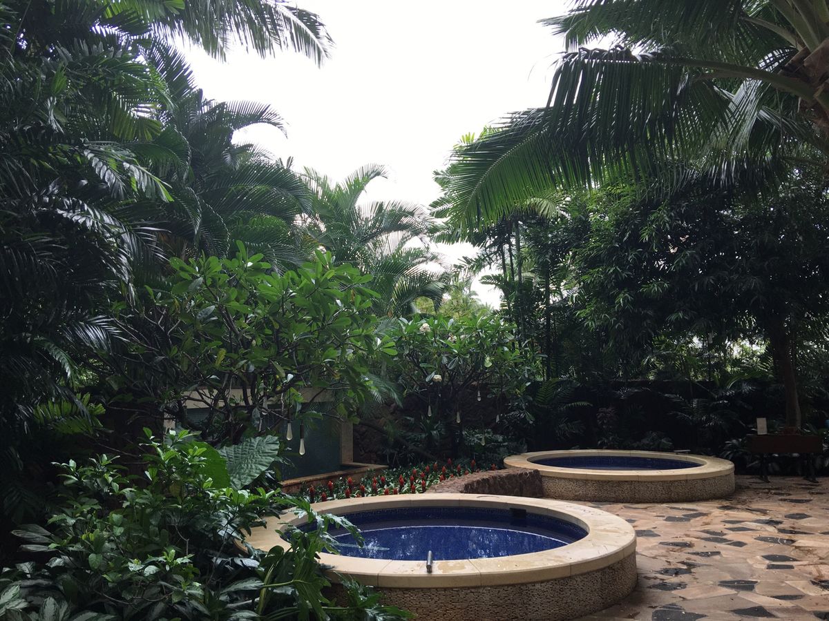 ラニヴァイ・ディズニー・スパではトリートメント中はもちろん屋外ハイドロセラ...