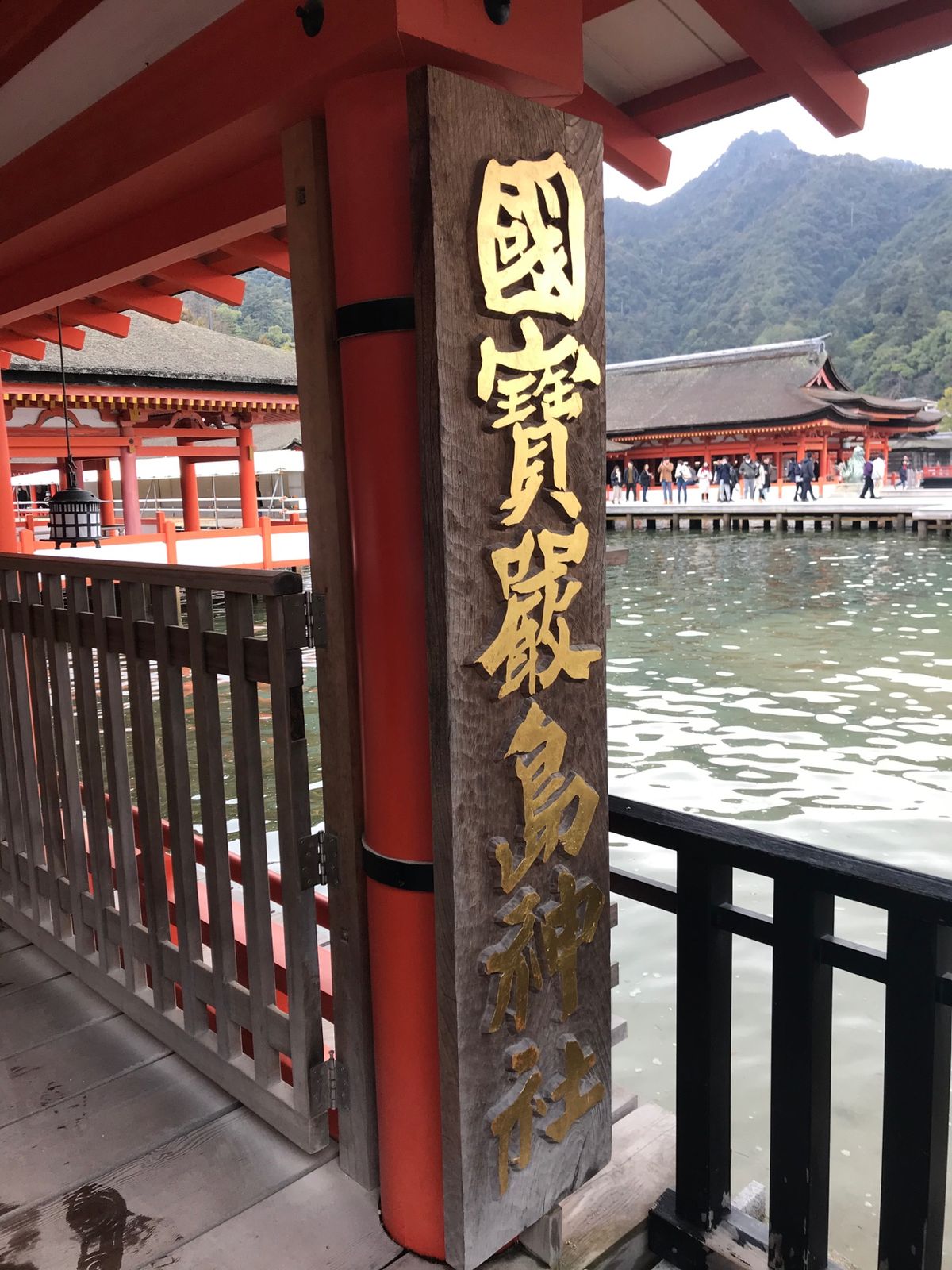 仕事の合間の初宮島🍁
シカさんたくさんいてかわいい。でも触っちゃダメです...