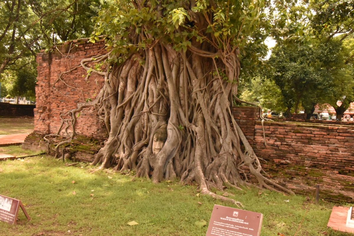 アユタヤの歴史地区！

涅槃像行きたかった！