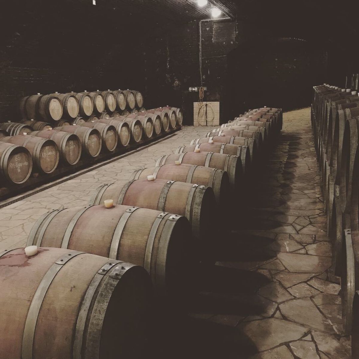 隣町のブゼネツのワインケラー