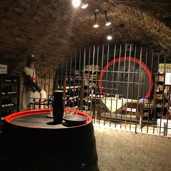 チェコ共和国・キヨフ、「2度目のチェコ」の写真：モラヴィアって言ったらワイン🍷
ワインケ...