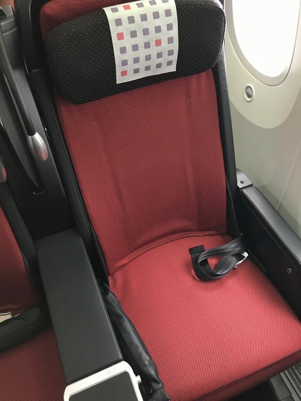 チェコ共和国・キヨフ、「2度目のチェコ」の写真：NGO→NRTの飛行機が機材変更でプレエ...