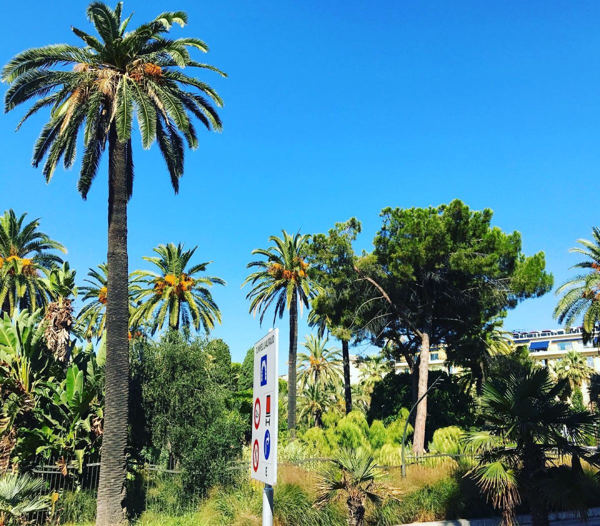 ニースでバケーション
昼から夕方までビーチで寝てた🏖
