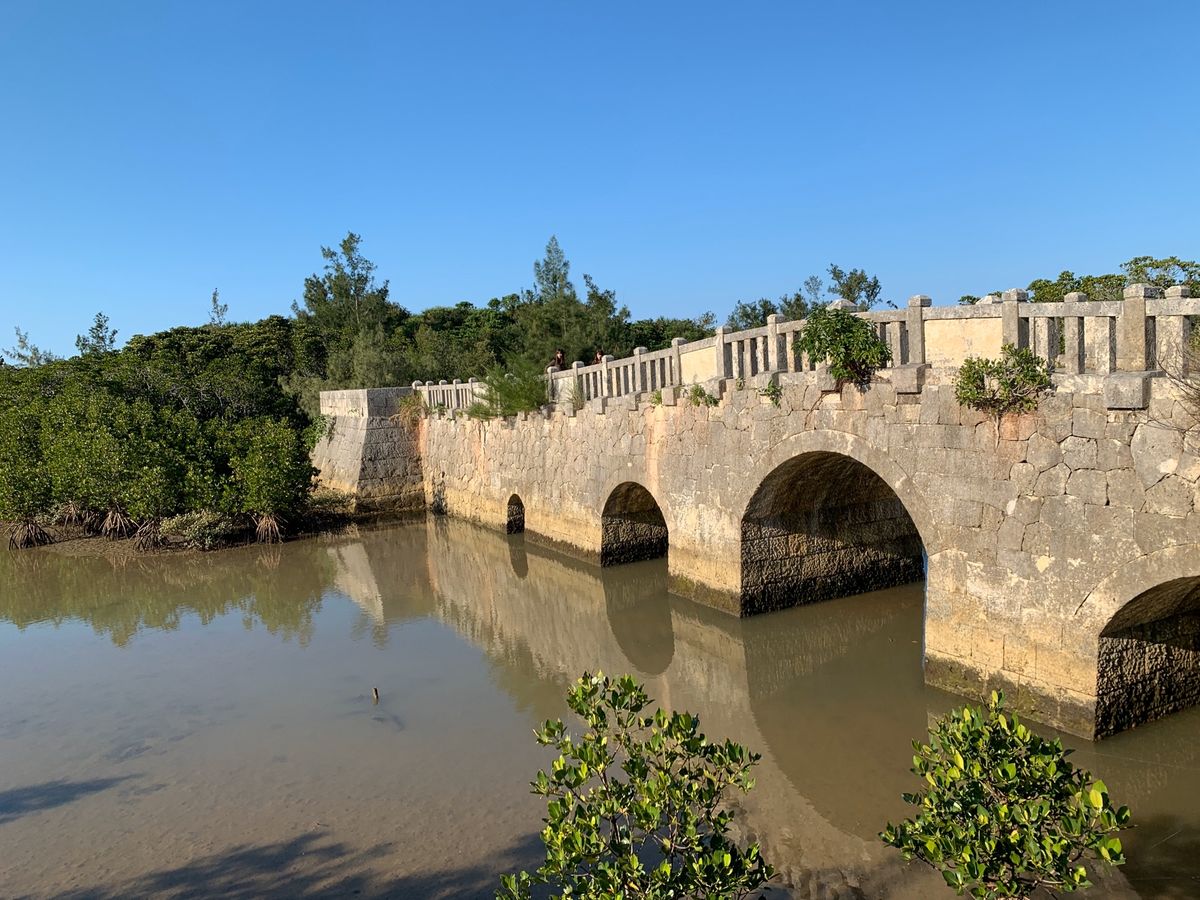 宮古島にあるマングローブの森
長い遊歩道からマングローブを見ることができます。