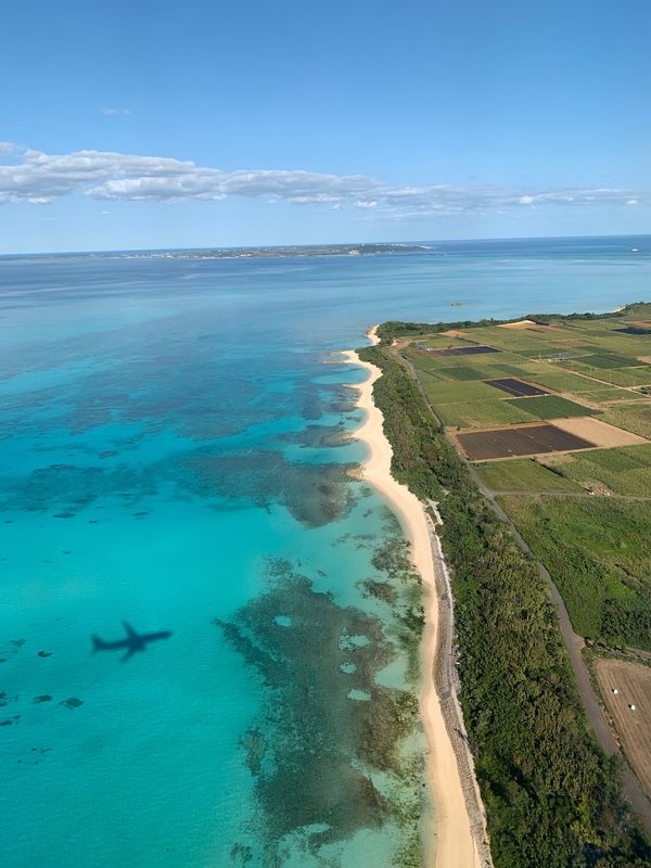 日本「2月　宮古島　1泊2日の弾丸ひとり旅」の写真：飛行機から見た宮古島