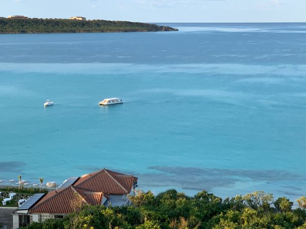 日本「2月　宮古島　1泊2日の弾丸ひとり旅」の写真：東急ホテルで朝の散歩
ビーチも素敵ですが...