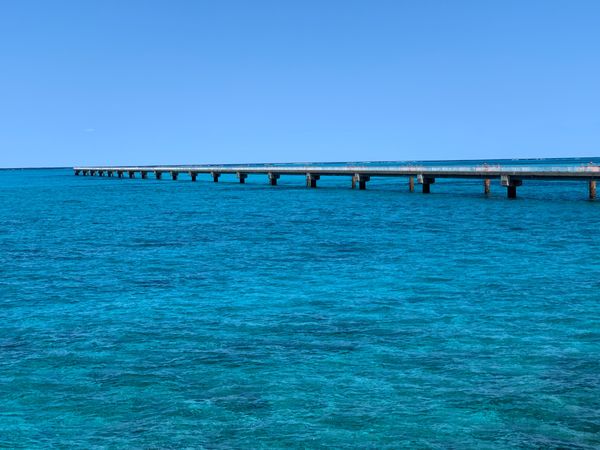 日本「2月　宮古島　1泊2日の弾丸ひとり旅」の写真：下地島空港の近くのビーチ
最高のブルーです。