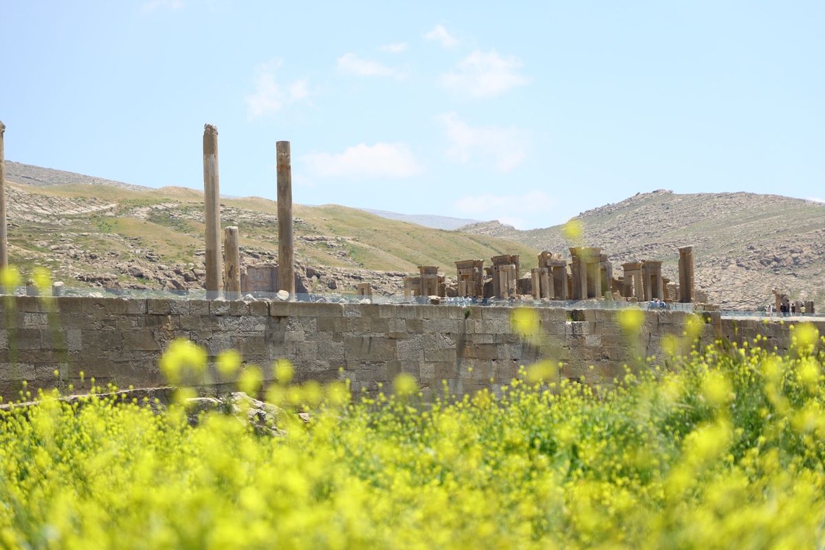 ペルセポリス！！
2000年以上前のものなのに、保存状態が良すぎる✨
そも...