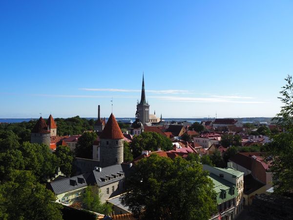 エストニア「エストニア 」の写真：2019年　夏