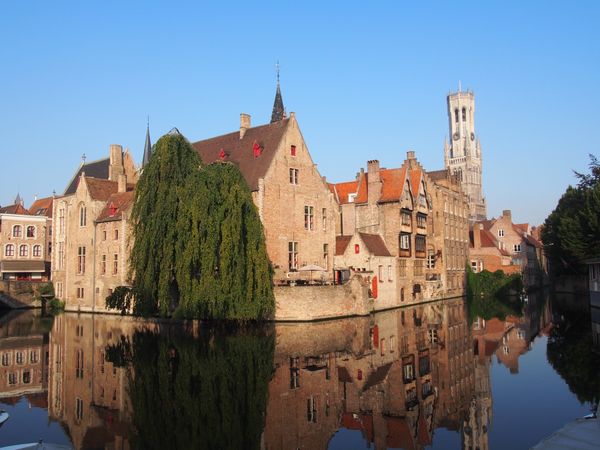 ベルギー「ベルギー」の写真：2017年　夏