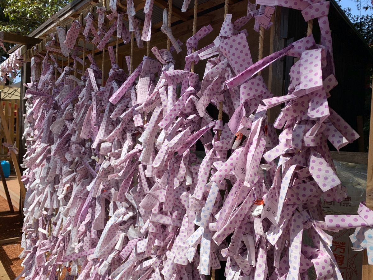 石浦神社で参拝⛩逆さ狛犬がお出迎え♡