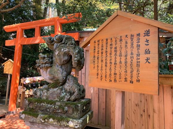 日本・石川県、「女子旅！桜満開の金沢へ‼︎」の写真：石浦神社で参拝⛩逆さ狛犬がお出迎え♡