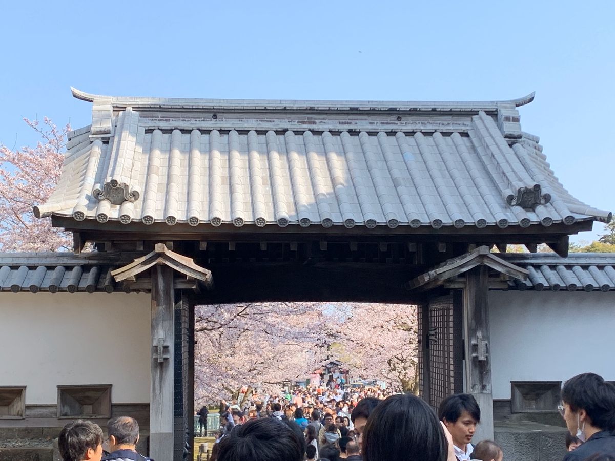 桜もすごいけど人もすごーい！