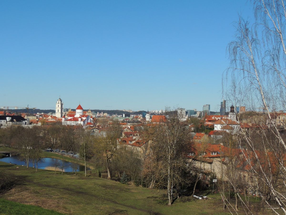 宿の丘を越えると展望台が