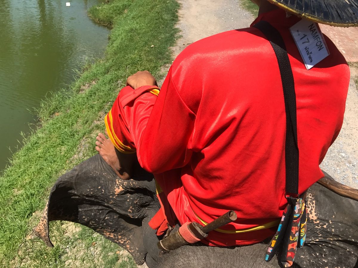 アユタヤ遺跡②