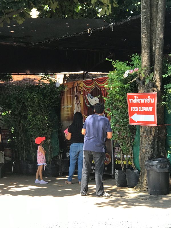 タイ「Bangkok」の写真：アユタヤ遺跡②