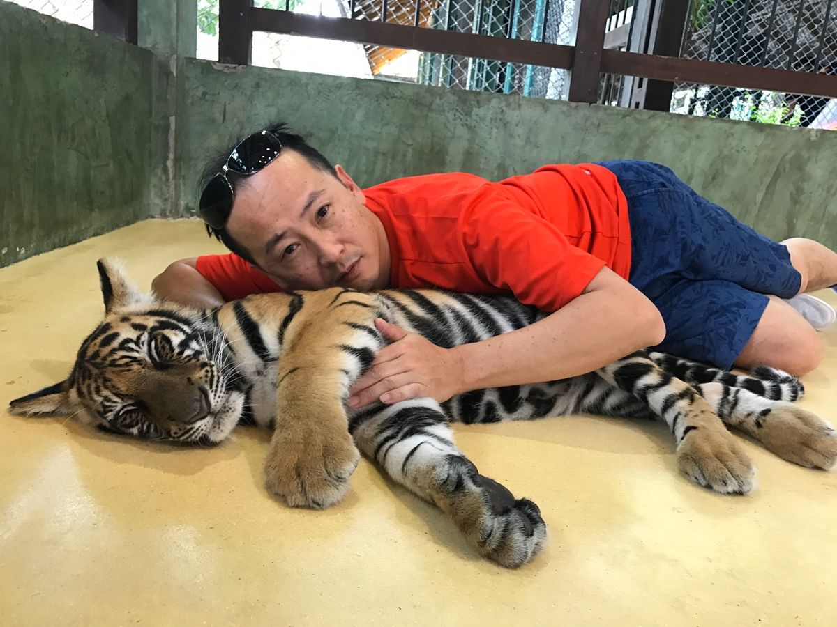 タイガーキングダム🐯②