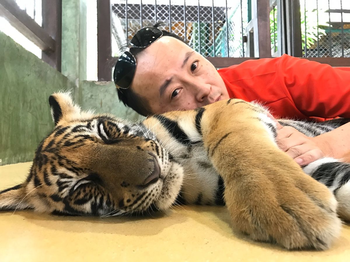 タイガーキングダム🐯②