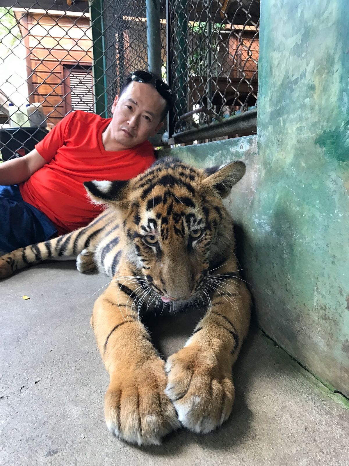 タイガーキングダム🐯①