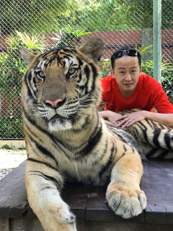 タイ・プーケット「Phuket」の写真：タイガーキングダム🐯①