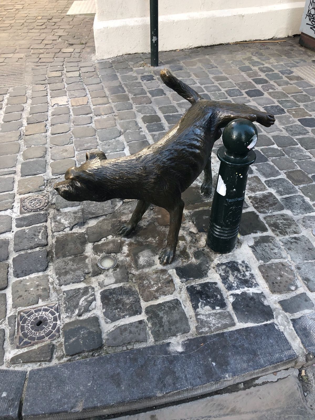 小便小僧は目立たなくて最初通り過ぎました…がっかり…
ネットで知った小便犬...