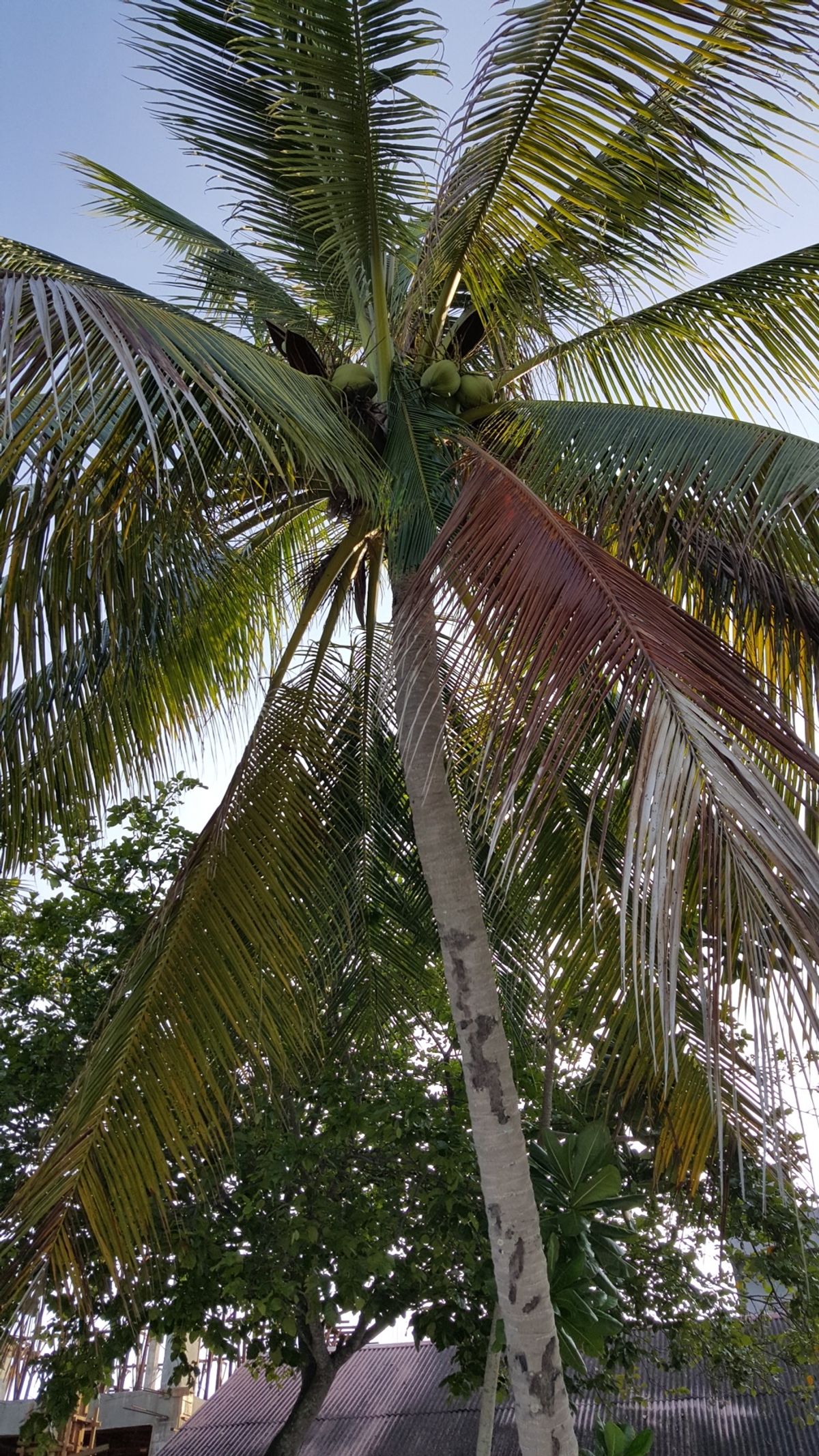 パンタイ・チェナンビーチ⛱