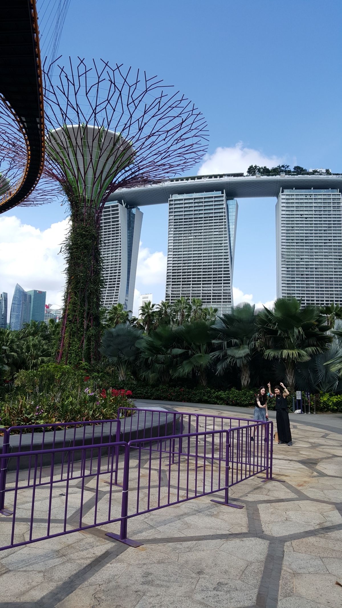 ガーデンズ・バイザ・ベイ①