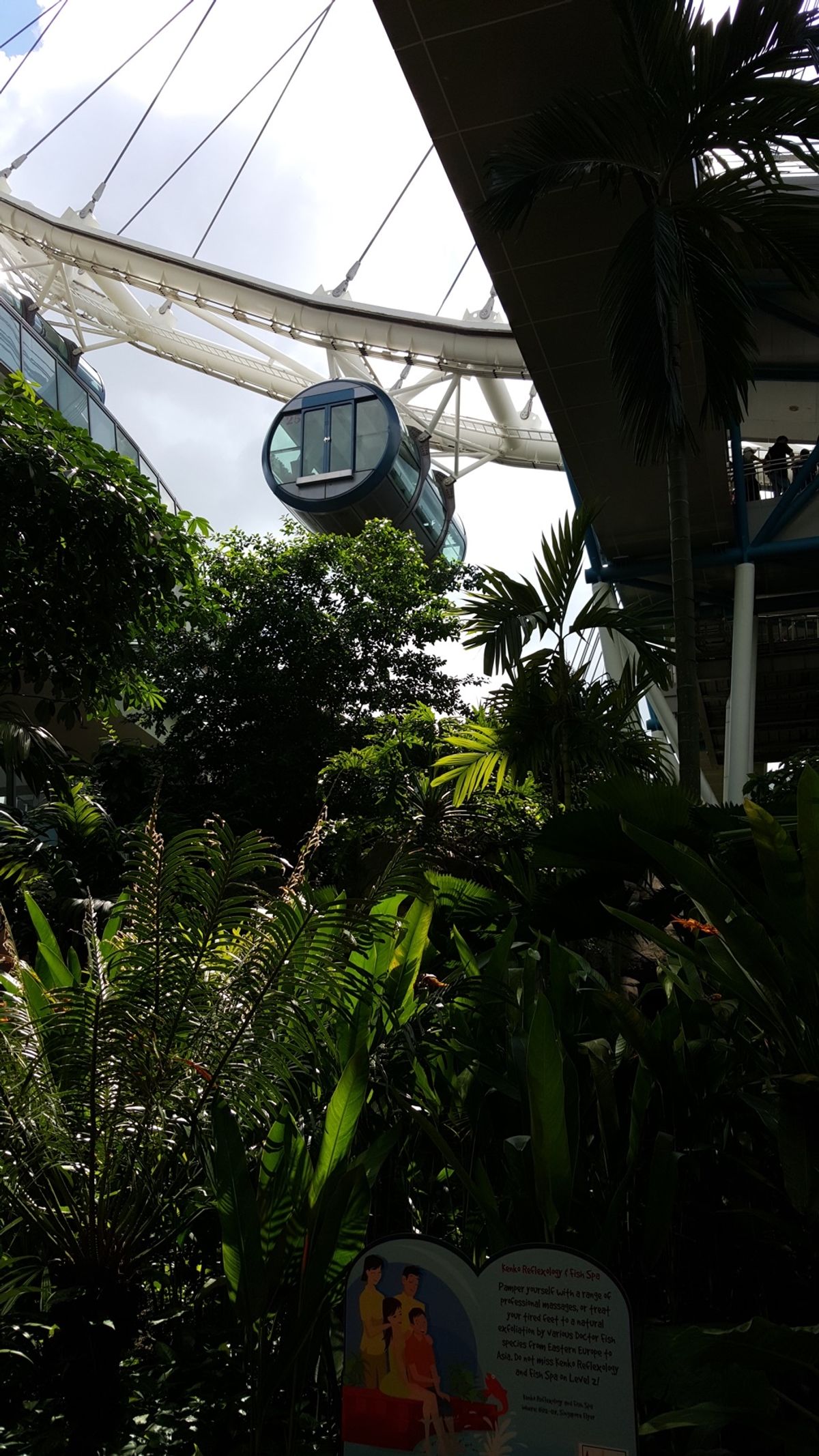 シンガポール・フライヤー