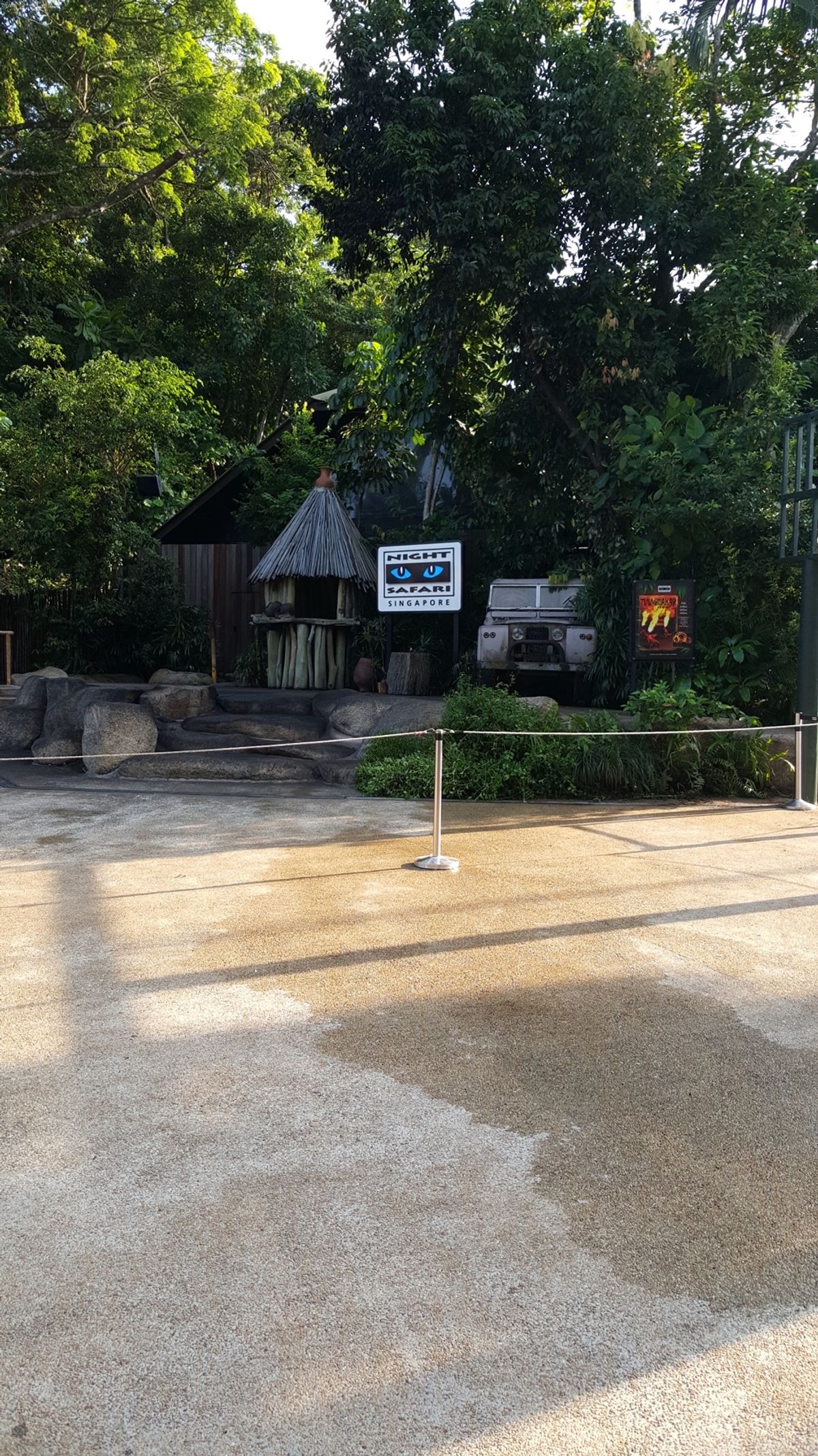 ナイトサファリ