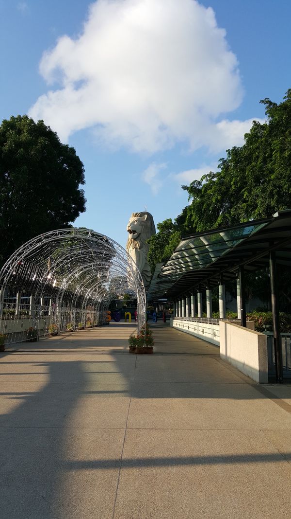 シンガポール「Singapore」の写真：セントーサ島